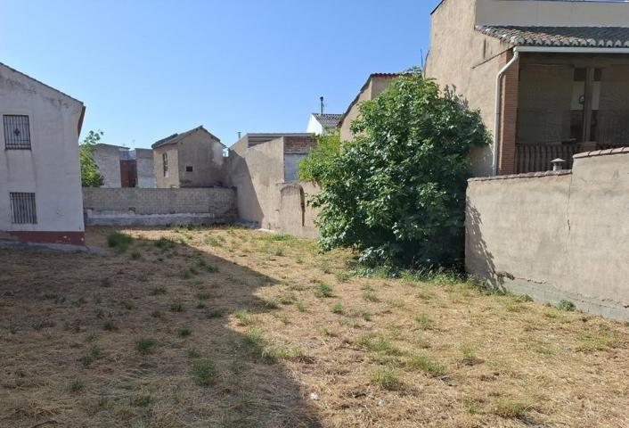 SOLAR RESIDENCIAL A LA VENTA EN PULIANAS. photo 0