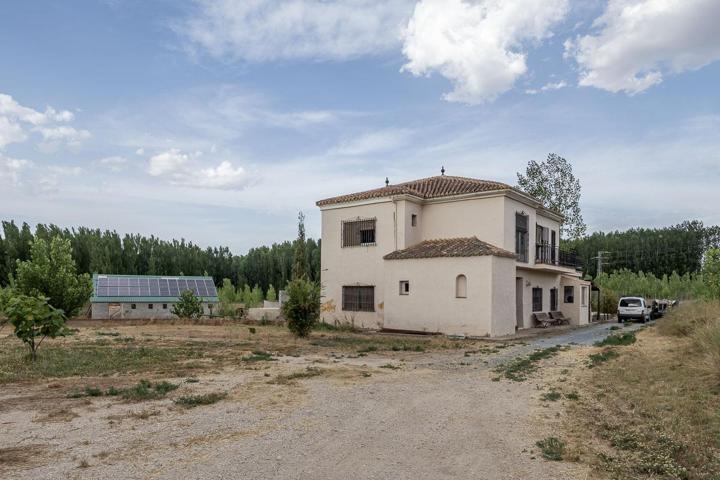 Gran finca con vivienda en Purullena photo 0