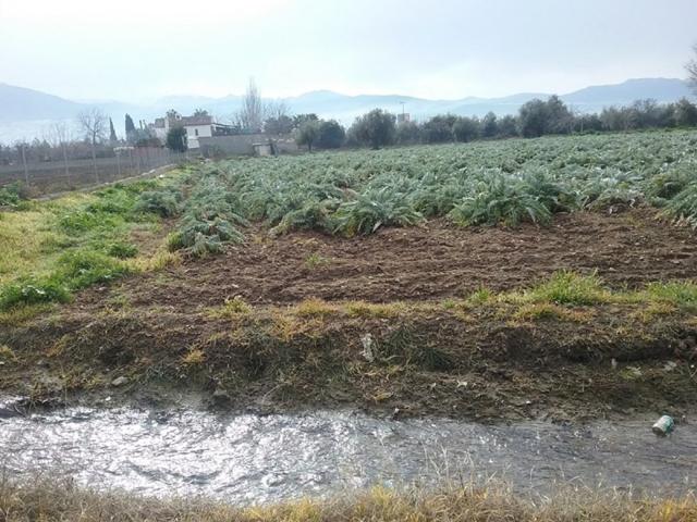 OportUnidad Finca Rústica Pago del Zaidín!!! photo 0