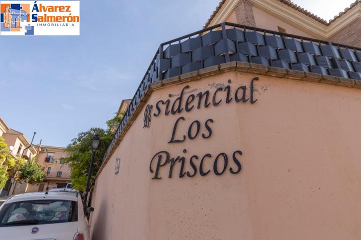 OPORTUNIDAD EN LA ZUBIA.-GRANADA photo 0