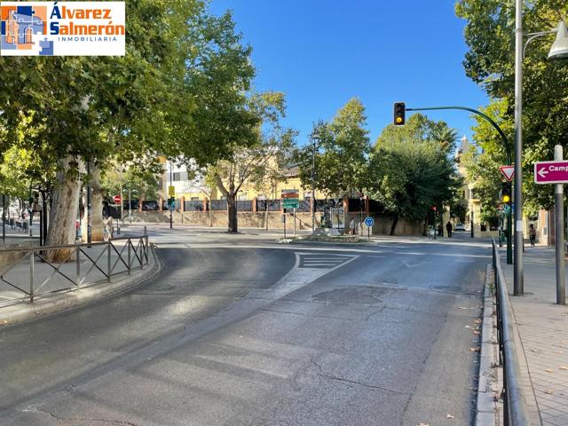 Se alquila local muy espacioso ideal para oficinas. photo 0