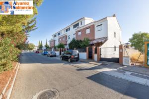 🏡 Casa adosada con piscina y pádel en Urb. Llanos de Silva photo 0