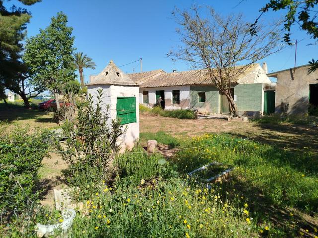 3 Casas Adosadas y 8000 metros cuadrados de REGADIO de trasvase photo 0