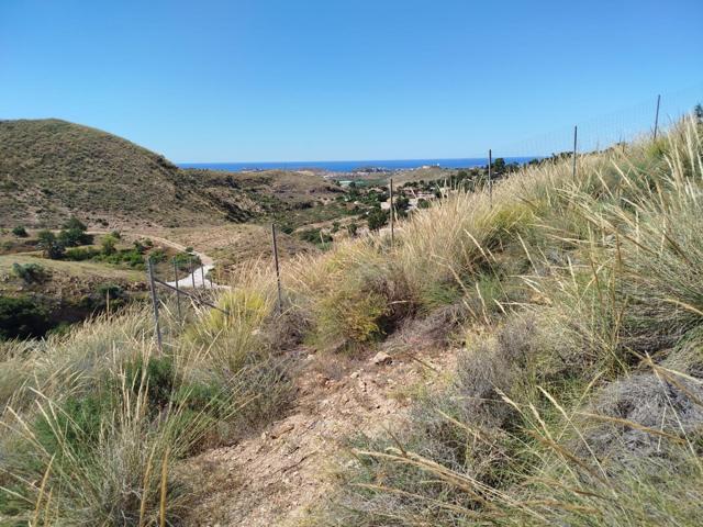 Terreno Rustico en LOS LORENTES DE PUERTO MAZARRON a  10 minutos de la playa photo 0