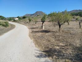 PARCELA RUSTICA EN CANTERAS-CARTAGENA. photo 0