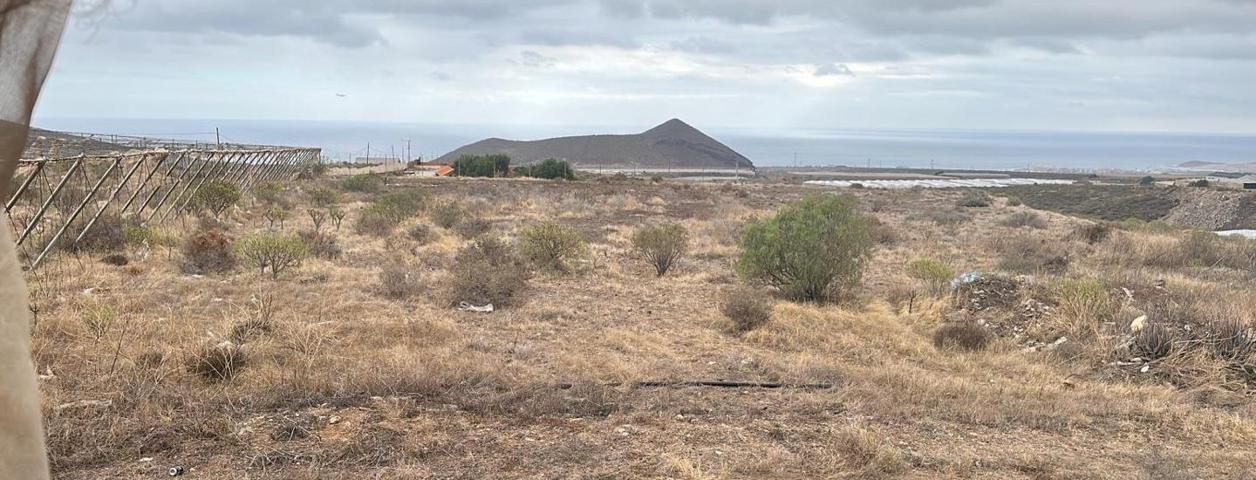 Terreno de 49.000 m2 con una nave de producción y una pequeña casita photo 0