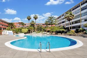 Apartamento 1 dormitorio con vista piscina en Costa del Silencio photo 0