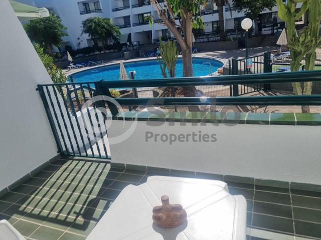 Precioso apartamento de 1 dormitorio en alquiler en Playa de las Américas photo 0