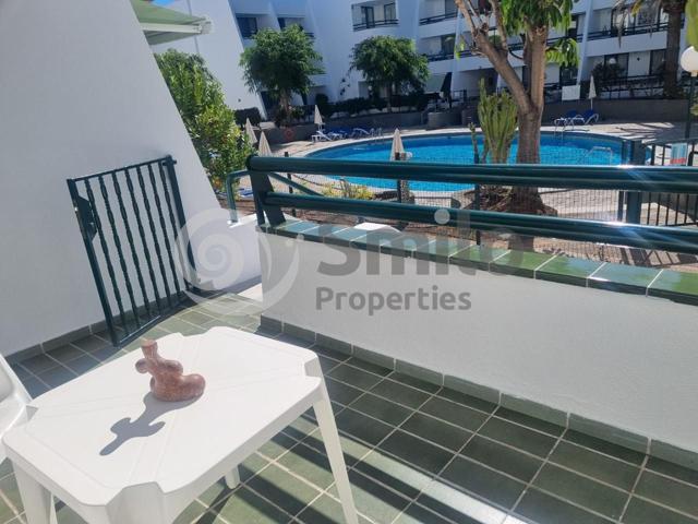 Precioso apartamento de 1 dormitorio en alquiler en Playa de las Américas photo 0