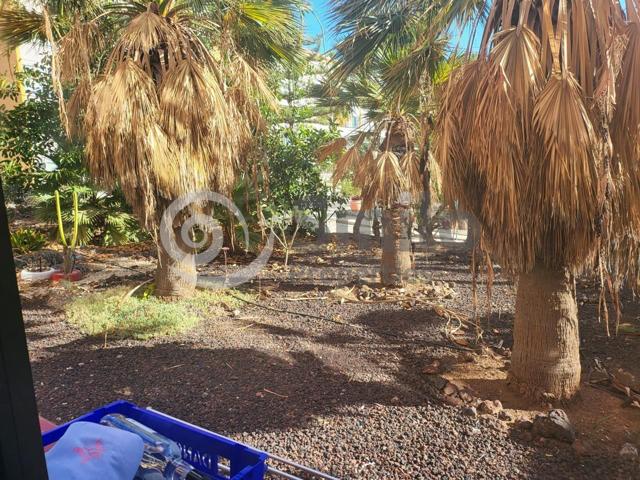 Acogedor estudio en alquiler por temporada en Costa del Silencio photo 0