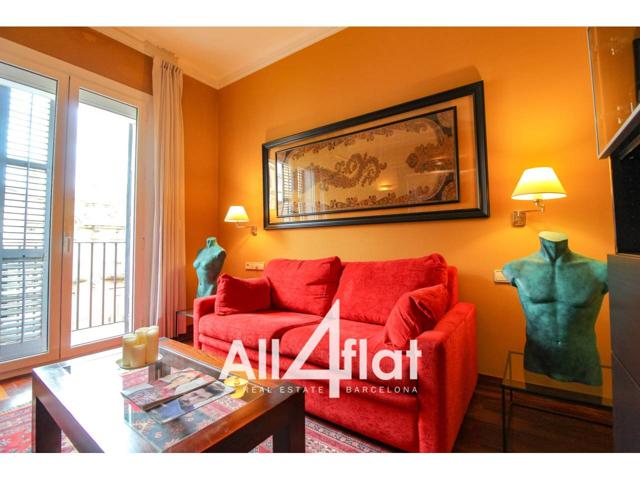 APARTAMENTO DE ALTO STANDING DE 55M2 CON 1 HABITACIÓN DOBLE, 1 BAÑO, TOTALMENTE AMUEBLADO, ASCENSOR, LUMINOSO. photo 0