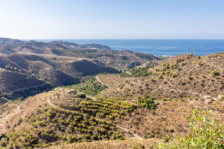 Finca con frutales, vistas y construcciones photo 0