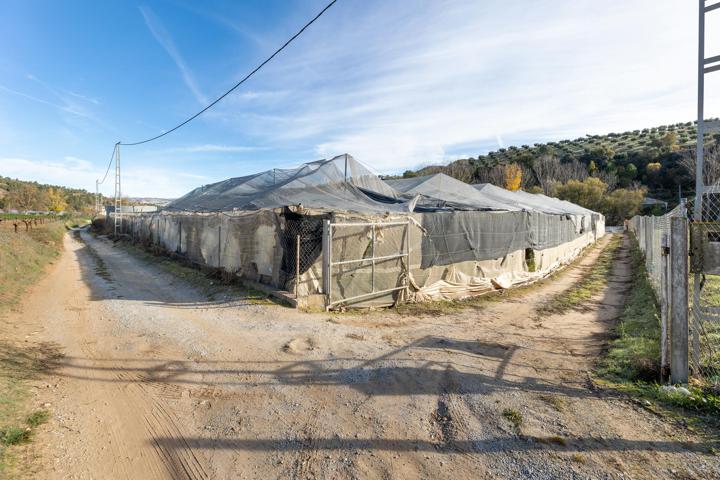 FINCA DE LABRANZA EN ARENAS DEL REY photo 0