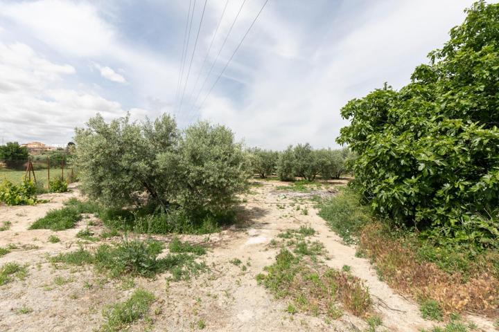 ESTUPENDA FINCA JUNTO AL MERCADONA DE HÍJAR photo 0