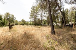 EXCLUSIVO TERRENO EN VENTA EN ALBOLOTE photo 0
