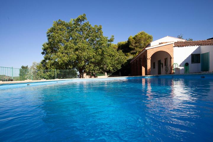 FINCA RÚSTICA CASA EN VENTA EN JAEN ANDALUCIA ALTO RENDIMIENTO Y RENTABILIDAD photo 0