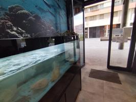 LOCAL DE ACTIVIDAD PESCADERIA photo 0