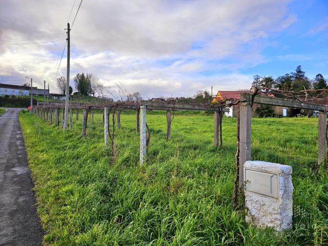 Tu nuevo proyecto photo 0