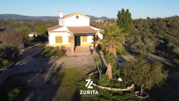 Olivar con casa de recreo photo 0