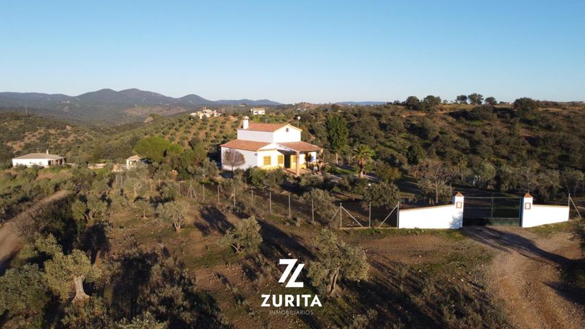 Olivar con casa de recreo photo 0