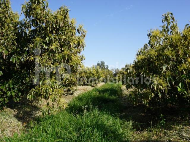 Terreno Urbanizable En venta en Vélez-Málaga photo 0