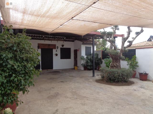 Experimenta la maravillosa vida en una casa de campo a solo 5 minutos de Córdoba! photo 0