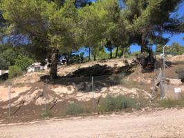 PARCELA EN TIBI photo 0