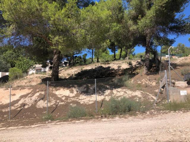 PARCELA EN TIBI photo 0