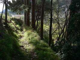 FINCA UNICA CON MUCHA VEGETACION  PARA DISFRUTAR  4,9 HECTAREAS photo 0