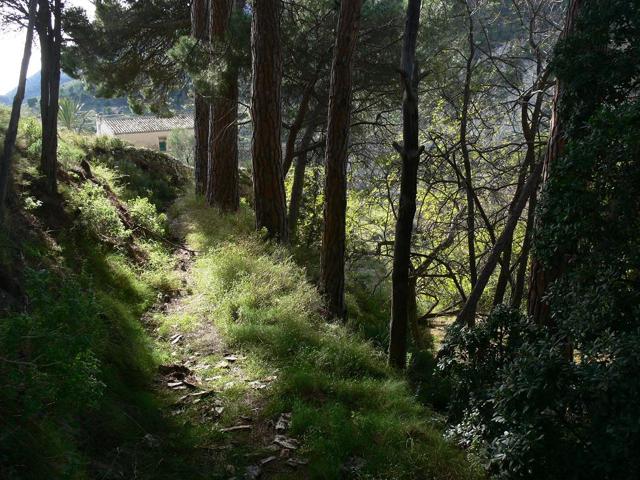 FINCA UNICA CON MUCHA VEGETACION  PARA DISFRUTAR  4,9 HECTAREAS photo 0