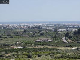 Fantástica oferta de 12.000 m2 urbanos en Ador photo 0