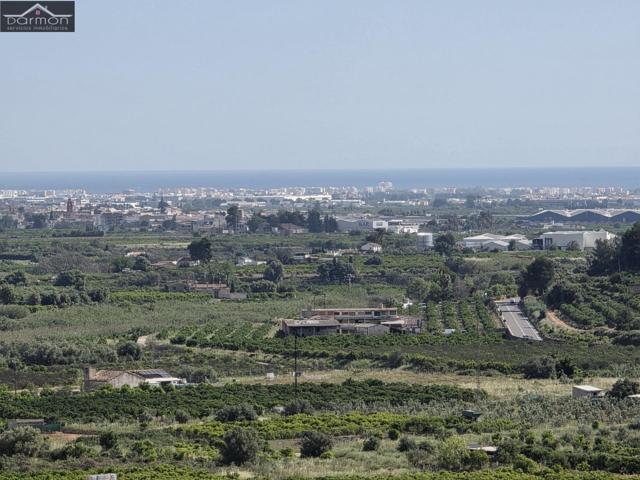 Fantástica oferta de 12.000 m2 urbanos en Ador photo 0
