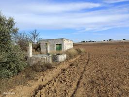 FINCA EN EL MARQUESADO photo 0