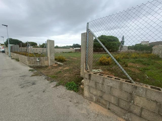 PARCELA SEGREGADA JUNTO A LAS QUINTAS photo 0