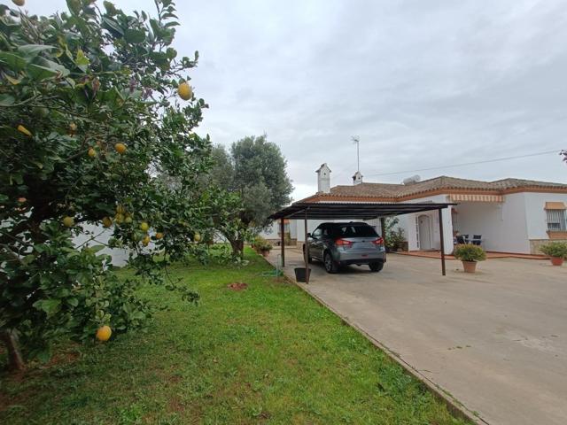 CHALET EN LA ZONA DEL PALILLEJO photo 0
