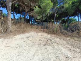 PARCELA EN PINAR DE LOS FRANCESES photo 0