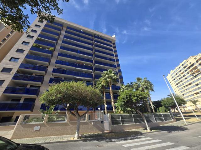 Estrella de la cala photo 0