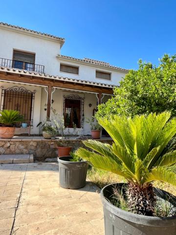 CHALET EN EL CASCO URBANO DE ELCHE photo 0