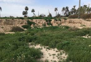 OPORTUNIDAD||Venta de Suelo Urbano Industrial en Partida De Algorós Elche-Elx (Alicante-Alacant) photo 0