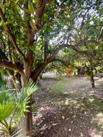 Terreno rural en zona residencial photo 0