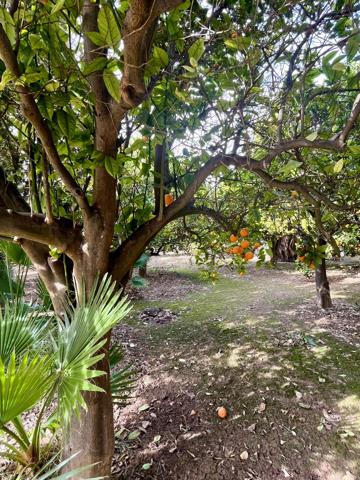 Terreno rural en zona residencial photo 0