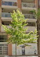 Local Comercial en Venta – Excelente Oportunidad en Zona Consolidada de Villena photo 0
