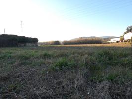 SANT JOAN DE PALAMÓS: Se vende terreno rústico de 3.500 m2. con pozo de agua photo 0