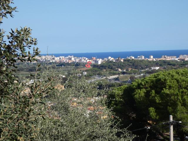 CALONGE: PARCELA de 1.000 m2 en Urb. Mas Ambrós, a sólo 500 mts. del pueblo. VISTAS A MAR photo 0