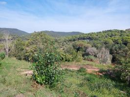 CALONGE: SE VENDE PARCELA EN URB. MAS PERE DE 521 M2 photo 0