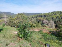 CALONGE: 'OCASIÓN ' SE VENDE PARCELA EN URB. MAS PERE DE 521 M2. con bonitas vistas a la montaña photo 0