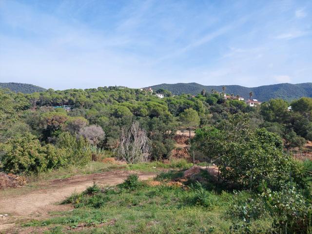CALONGE: SE VENDE PARCELA EN URB. MAS PERE DE 521 M2 photo 0
