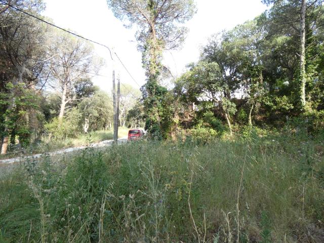 CALONGE: Parcela 626 m2 . MUY LLANA en Urb.Mas Pere, CON TODAS LAS CALLES Y SERVICIOS PARA ESTRENAR photo 0
