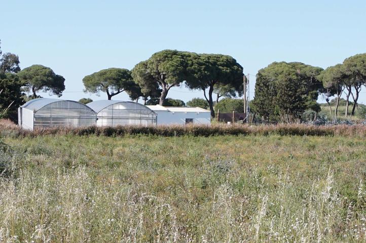 Casa En venta en Chipiona photo 0