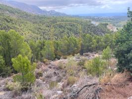 Terrenos Edificables En venta en Callosa D'En Sarrià photo 0